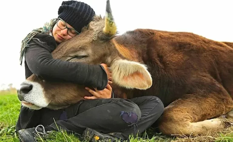 Factory Farming: Cruelty for Humans, Animals and the Planet June 2025