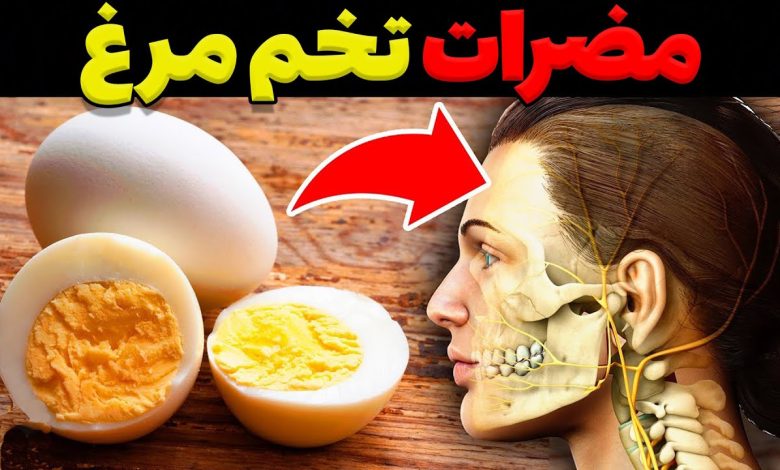 مضرات و خطرات مصرف تخم مرغ
