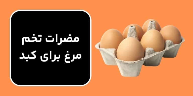 مضرات تخم مرغ برای کلیه و کبد